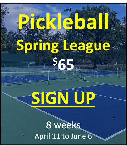 2022 Spring Pickleball League Cincinnati